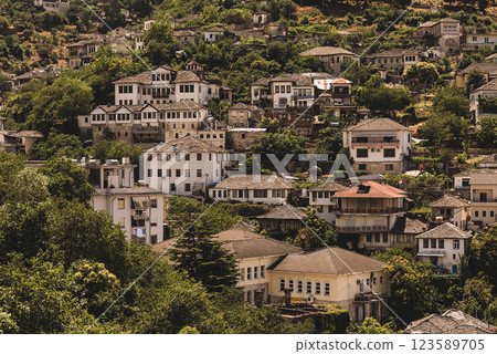 Gjirokastra Town Cityscape with Old Ottoman Houses 123589705