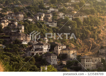 Gjirokastra Cityscape with Historic Ottoman Houses 123589709