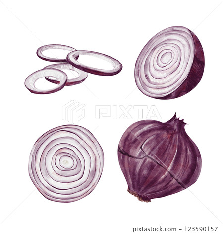 Set with purple onion. Purple vegetable. Set of watercolor illustrations isolated from the background. Onion cut in halves and rings. Hand drawing. High quality illustration 123590157