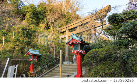 Early spring at Enoshima Shrine in Shonan (Fujisawa City and Kamakura City) 123590286