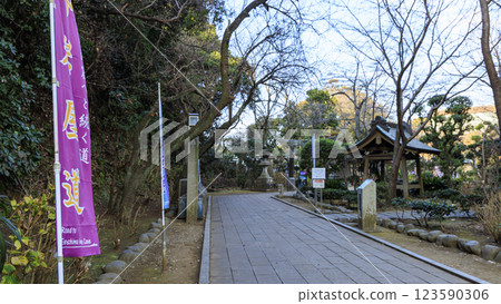 Spring in Enoshima 123590306