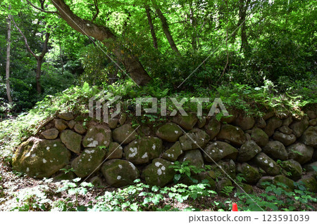 樹木之城仙台：青葉城跡、澤門、用原石砌成的石牆 123591039