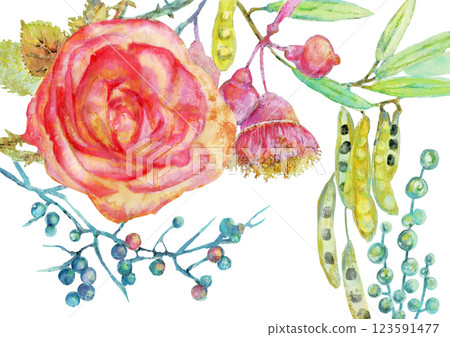Beautiful hand-drawn watercolor illustrations of flowers and plants 123591477