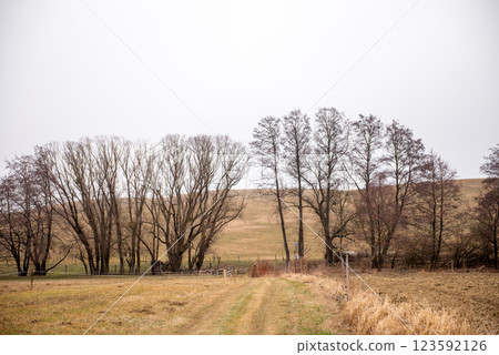 Winter landscape without snow in february. Landscape. 123592126
