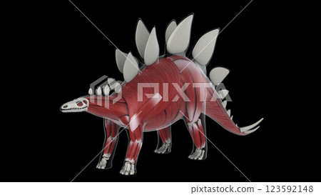 Muscular system of a Stegosaurus dinosaur, side view. 123592148