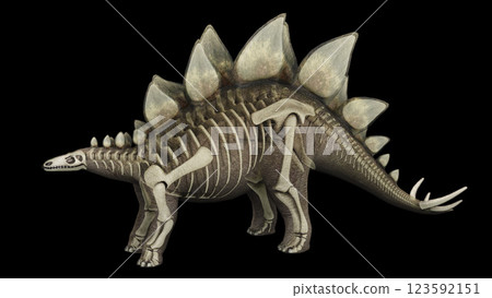 3D illustration of Stegosaurus, with skeletal system overlay. 123592151