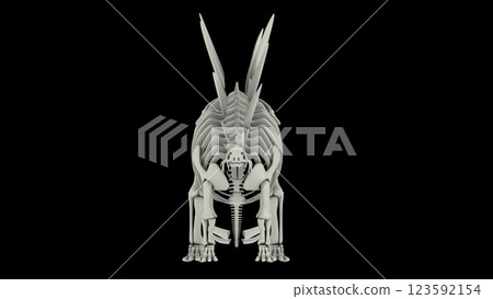 Skeletal system of Stegosaurus, front view. 123592154