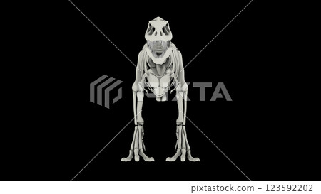 Skeletal system of Tyrannosaurus rex, front view. Skeletal system of Tyrannosaurus rex, front view. 123592202