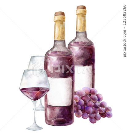 watercolor illustration wine bottle glass and grapes on white background, violet wine, bottle and bunch of grapes isolated on white,table for two,for menu, holidays, tasty drink and food, fun  123592266