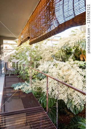 Blooming White Flowers in a Lush Garden Blooming White Flowers in a Lush Garden 123592521