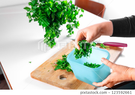 Woman storing freshly chopped parsley in container for preserving herbs. Preparing parsley for winter storage. 123592661