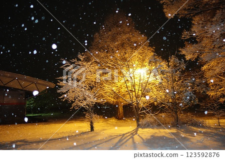 Snow Scene at Spark Okabe 123592876