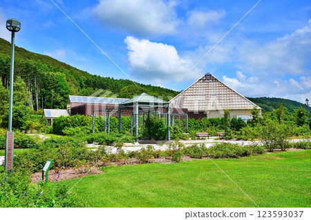 Iwamizawa Park Rose Garden Scenery 123593037