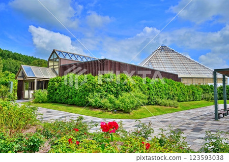 Iwamizawa Park Rose Garden Scenery 123593038