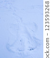 Snow angel Child imprint in fresh snow  123593268