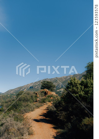 Scenic mountain trail with clear blue sky and lush vegetation 123593578