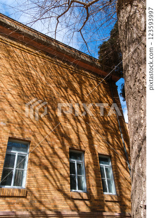 Red brick tree shadow 123593997