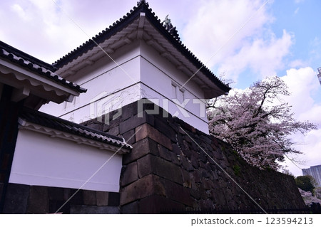 Kitanomaru Park: Cherry blossoms and Shimizu Gate Kitanomaru Park: Cherry blossoms and Shimizu Gate 123594213