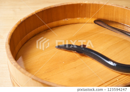 Eel swimming in a bucket 123594247