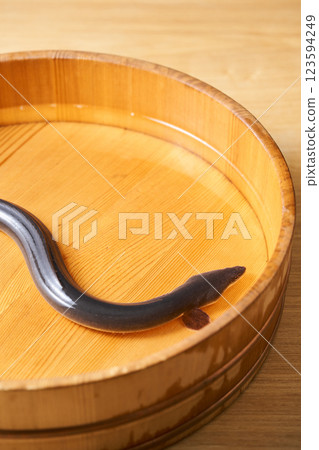 鰻魚在桶子裡游泳 鰻魚在桶子裡游泳 123594249