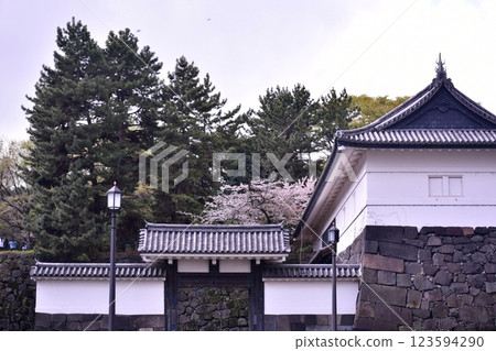 北之丸公園：櫻花與清水門 123594290