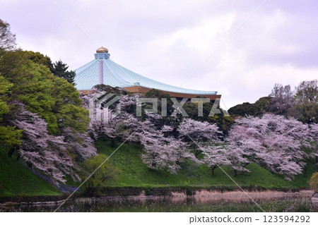 Cherry blossoms at Kitanomaru Park 123594292