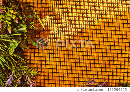 Orange sunny wooden wall background with cells,green vegetation 123594325