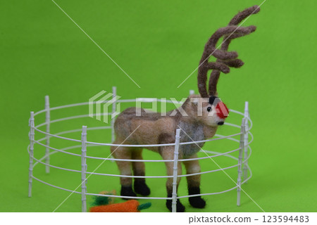 Reindeer in a fence 123594483