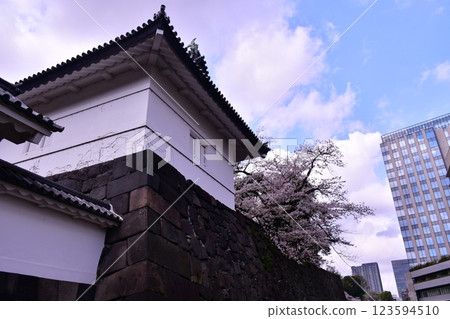 Kitanomaru Park: Cherry blossoms and stone walls 123594510
