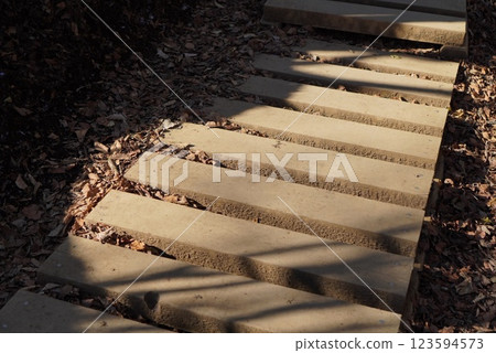 A boardwalk lit by sunlight A boardwalk lit by sunlight 123594573