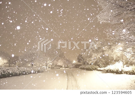 本莊綜合公園:雪夜 本莊綜合公園:雪夜 123594605