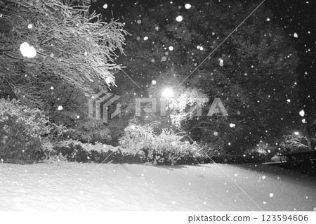 Honjo General Park: Snow-covered Honjo General Park: Snow-covered 123594606