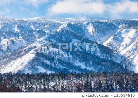 Ice-covered trees on snow-capped Mt. Hakkoda 123594610