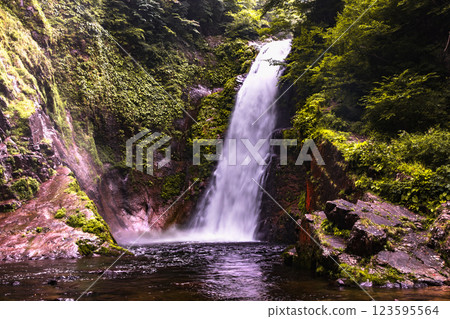 Autumn leaves of Akiu Otaki, Miyagi Prefecture Autumn leaves of Akiu Otaki, Miyagi Prefecture 123595564