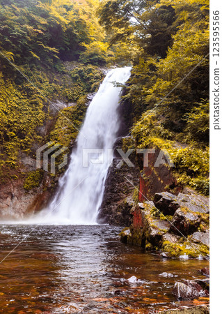 宮城縣大久晃秋葉 123595566