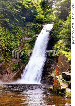 Autumn leaves of Akiu Otaki, Miyagi Prefecture 123595590