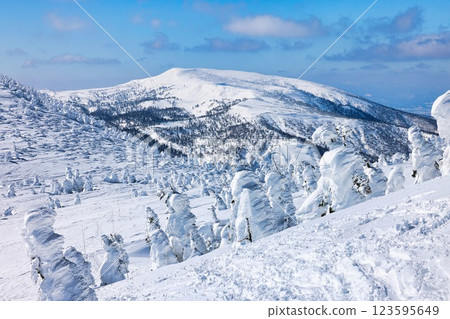 Ice-covered trees on snow-capped Mt. Hakkoda Ice-covered trees on snow-capped Mt. Hakkoda 123595649