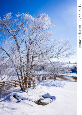 After winter storm After winter storm 123595919