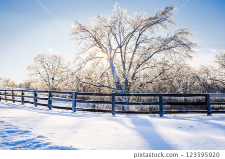 After winter storm After winter storm 123595920