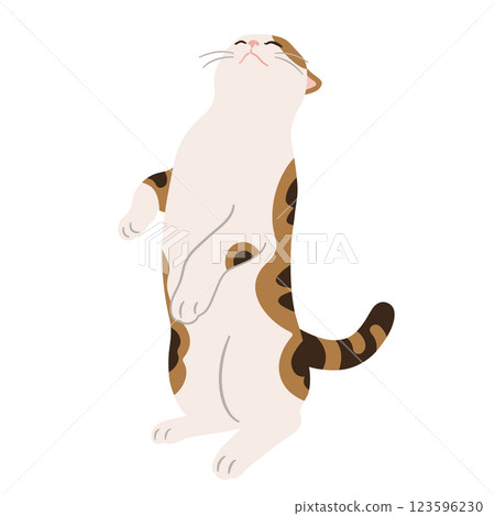 一隻三色貓用後腿站立的插圖 一隻三色貓用後腿站立的插圖 123596230