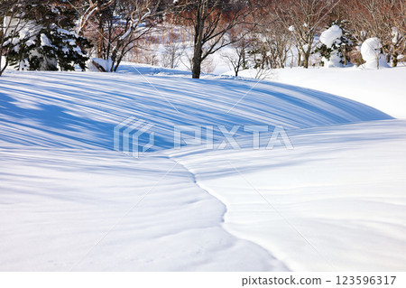 八甲田山的雪原 123596317