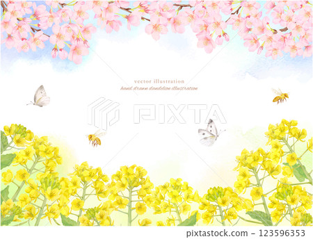 水彩櫻花和油菜花框架背景材料 123596353