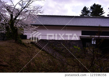 Kitanomaru Park: Cherry blossoms and Shimizu Gate 123596356