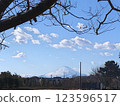 冬季藍天空下的富士山 123596517