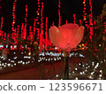 足柄花卉公園燈飾 123596671