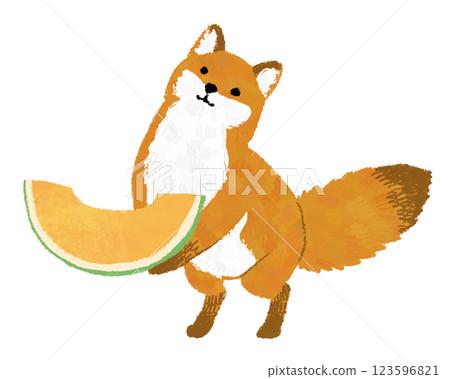 Hand-drawn illustration of a fox holding a melon Hand-drawn illustration of a fox holding a melon 123596821