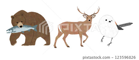 Hand-drawn illustrations of Hokkaido's wild animals 123596826
