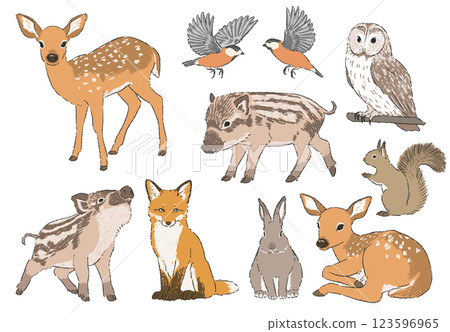 Hand-drawn illustration set of forest animals 123596965