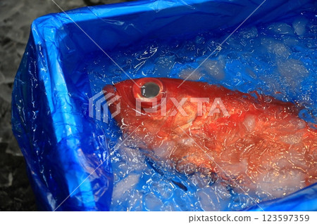 Kinmedai: Kinmedai sold at auction 123597359