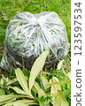 How to dispose of plants vertically 123597534